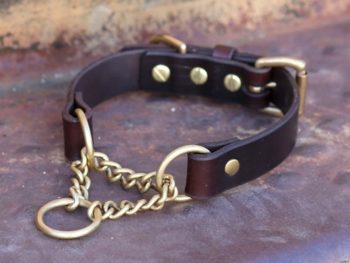 martingale dog collar with chain and buckle