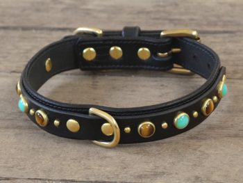 1" DIEGO DELUXE COLLAR