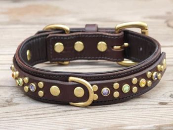 1.25" ARTEMIS COLLAR