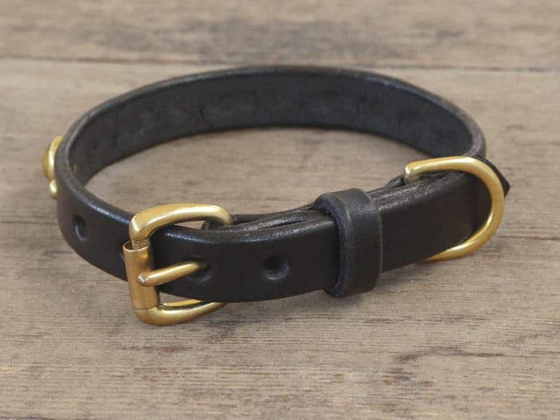 are rolled leather collars good for dogs