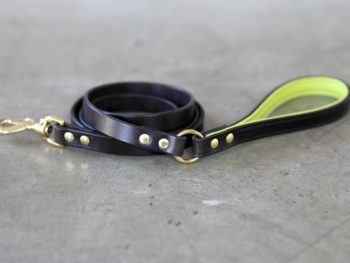 black leather leash with a lined handle and brass hardware