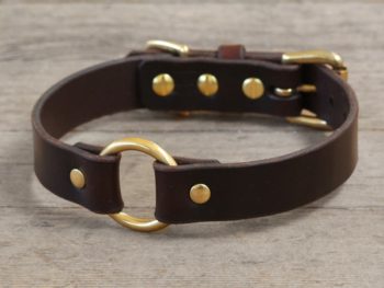 O-Ring - Leather Dog Collar