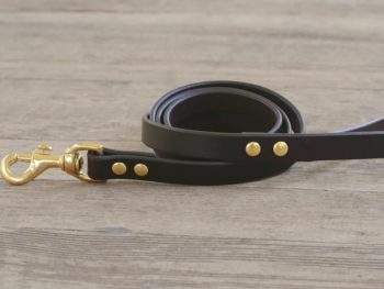 Basic Leather Dog Leash