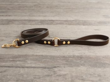 Basic O-Ring Dog Leash