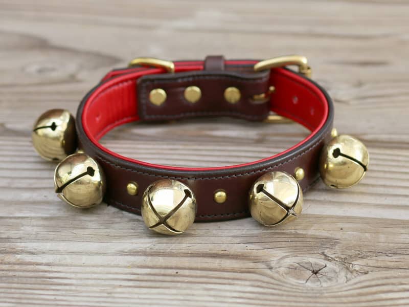 collar with bell for puppy