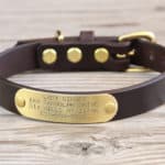 BASIC NAMEPLATE leather dog collar | CALIFORNIA COLLAR CO.