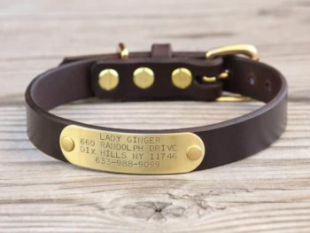 Basic Nameplate - Personalized Dog Collar