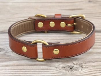 1" CUSTOM O-RING - Leather Dog Collar