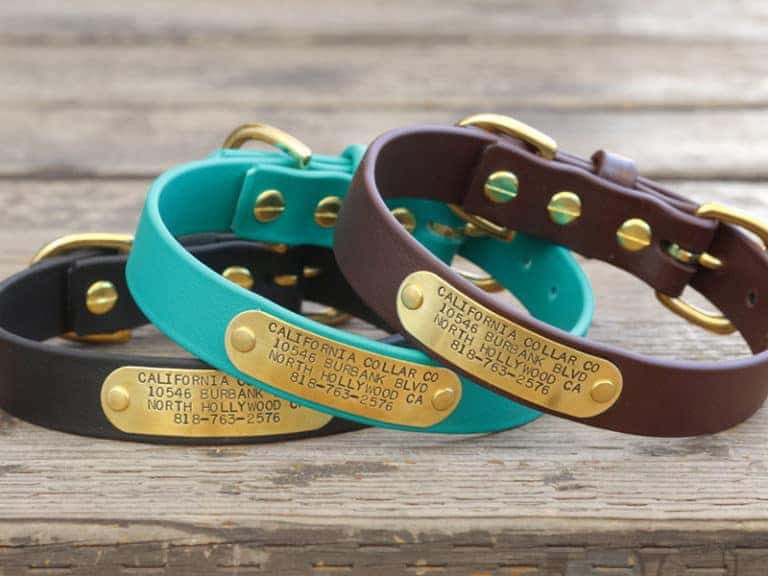 MUDPUPPY Waterproof Dog Collar w/ Nameplate CALIFORNIA COLLAR CO.