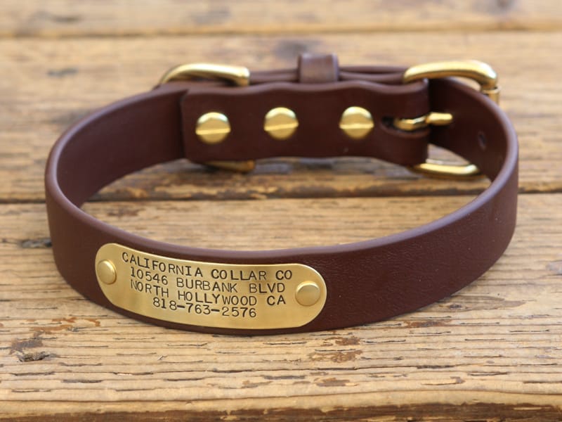 2023 DELUXE Leather Dog Collar with Name Plate