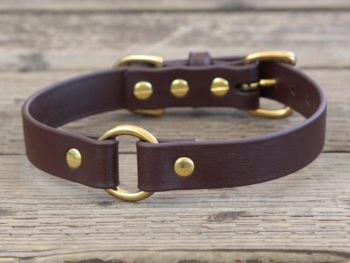 MUDPUPPY : O-Ring Waterproof Dog Collar
