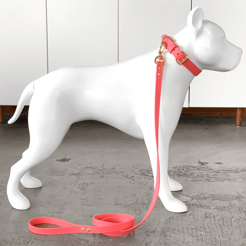 Mudpuppy Waterproof Dog Collars CALIFORNIA COLLAR CO.