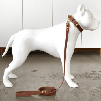 MUDPUPPY : Medium Brown