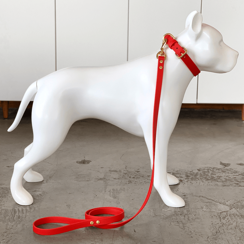 Mudpuppy Waterproof Dog Collars CALIFORNIA COLLAR CO.