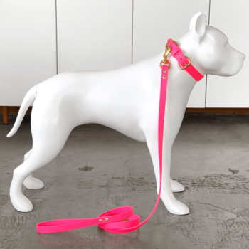 MUDPUPPY : Shocking Pink