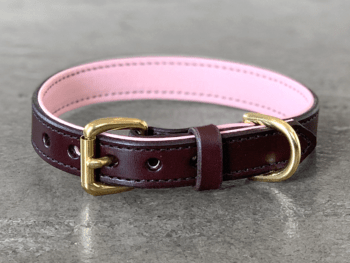 3/4" CUSTOM BASIC - Leather Dog Collar