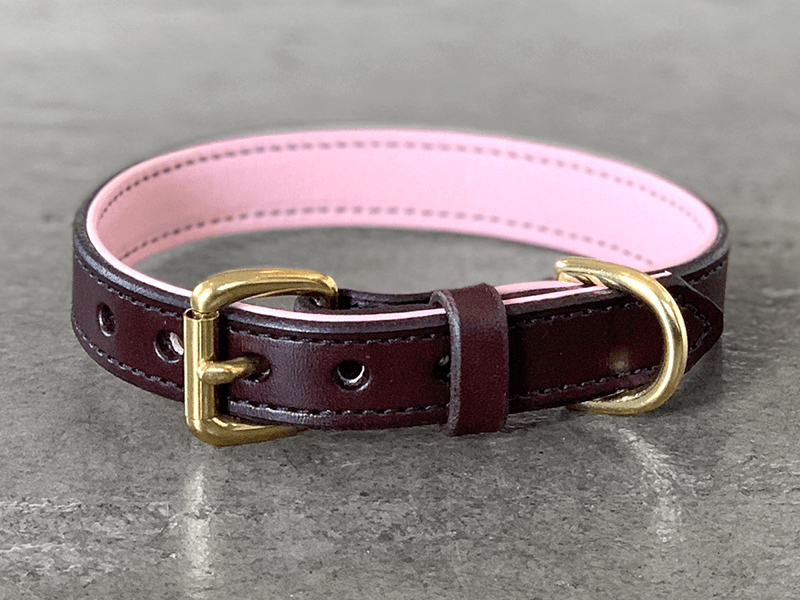 basic dog collar