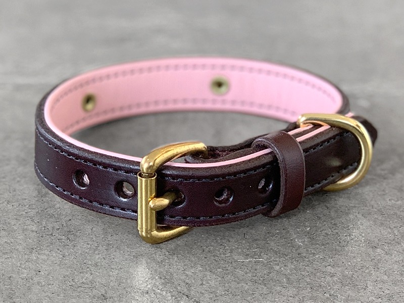 3/4 Leather Center Ring ID Dog Collar for Small Dogs with Large Brass Name Plate | Outdoor Dog Supply