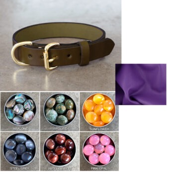 COLOR PALETTE SELECTOR